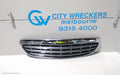 HOLDEN STATESMAN/CAPRICE GRILLE, RADIATOR GRILLE, WH, STATESMAN, 06/1999 - 08/2001 - Image 1