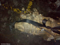 NISSAN PATROL TRANSFER CASE, Y62, 11/2012 ONWARDS - Image 1
