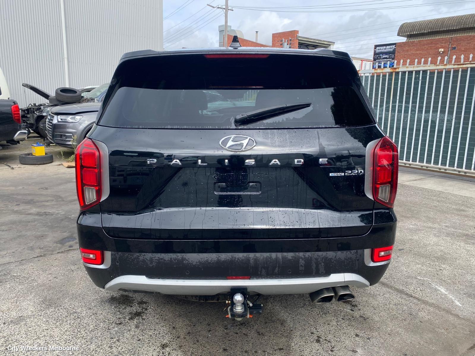 HYUNDAI PALISADE LEFT GUARD, LX2, 07/2020 - 03/2025 - Image 2