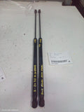 LAND ROVER RANGEROVER EVOQUE HATCH STRUT, L538, 11/2011 - 01/2019 - Image 1