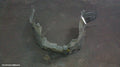NISSAN XTRAIL RIGHT GUARD LINER, T30, 10/2001 - 10/2003 - Image 1