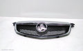 HOLDEN CRUZE GRILLE, RADIATOR GRILLE, JH, SEDAN/HATCH, CD/CDX/EQUIPE, 03/2011 - 06/2012 - Image 1