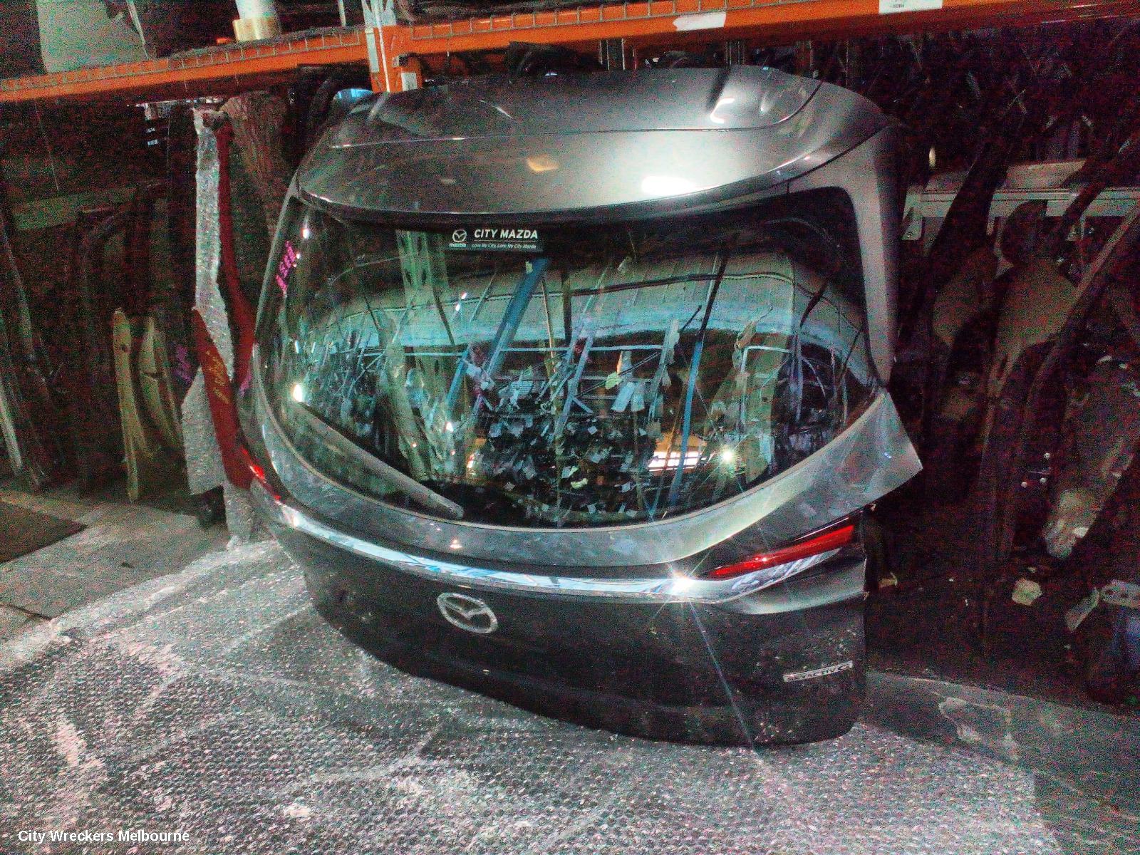 MAZDA CX9 BOOTLID/TAILGATE, TC, TAILGATE, NON POWER LIFTGATE TYPE, 07/2016 - 12/2024 - Image 3