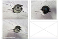 TOYOTA HILUX RIGHT INDICATOR/FOG/SIDE, BUMPER FOGLAMP, 03/2005 - 09/2008 - Image 1