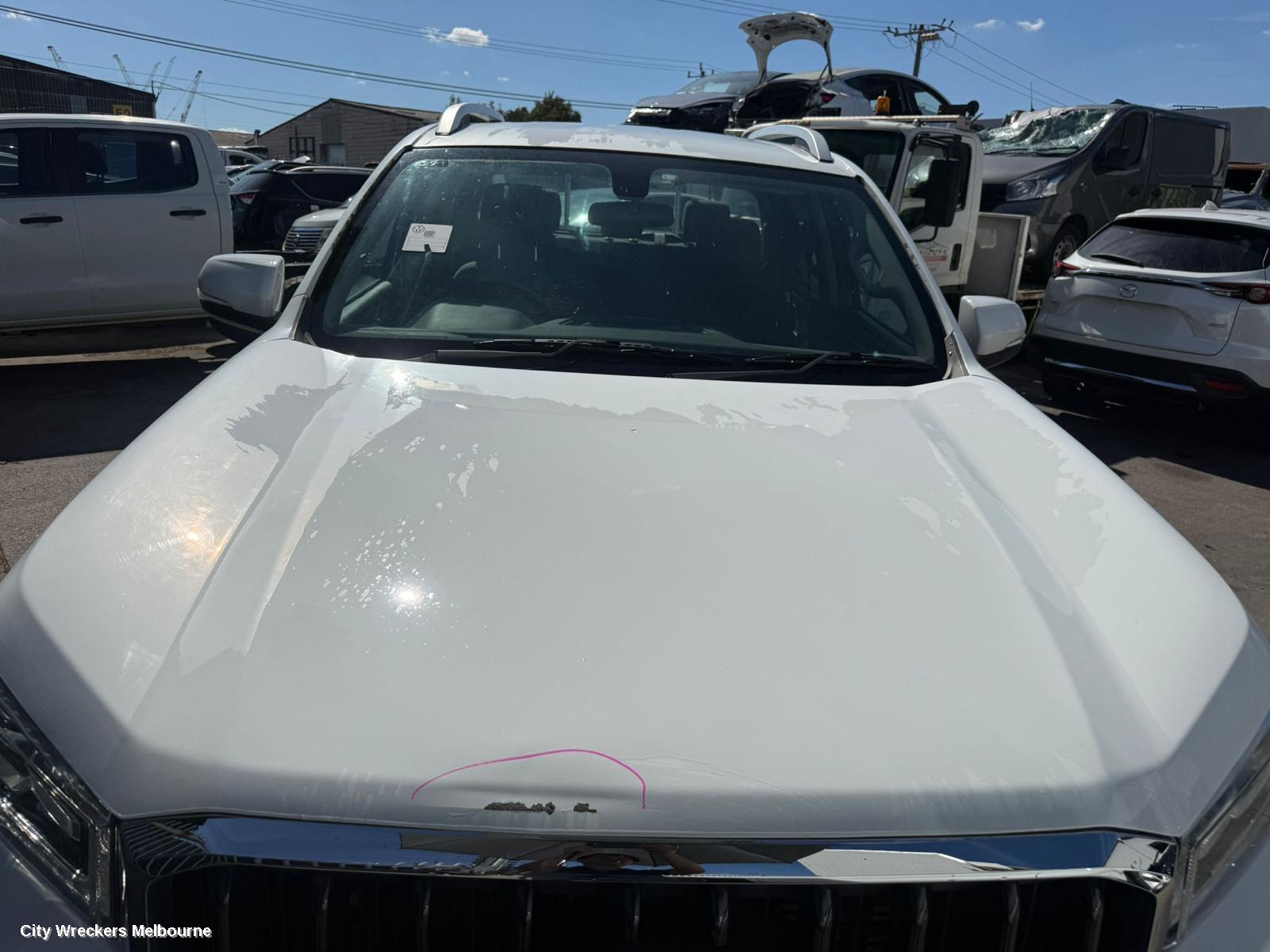LDV T60 BONNET, SK8C, ROD TYPE, 07/2017 - 07/2021 - Image 1