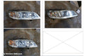 HONDA ACCORD RIGHT HEADLAMP, CG, 11/1997 - 03/2001 - Image 1