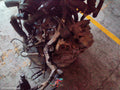 HYUNDAI I30 TRANS/GEARBOX, CN7, AUTO, PETROL, 1.6, TURBO, G4FP, SEDAN (S.KOREA VIN KMHL), 08/2020 ONWARDS - Image 1