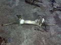 FORD KUGA STEERING BOX/RACK, TF, ELECTRIC, PETROL, 11/2012 - 09/2016 - Image 1
