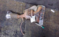FORD FIESTA CATALYTIC CONVERTER, MANIFOLD-CAT TYPE, 1.5, PETROL, WZ, 06/2013 - 12/2019 - Image 1