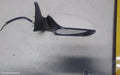TOYOTA AURION RIGHT DOOR MIRROR, GSV40R, STANDARD TYPE, 10/2006 - 03/2012 - Image 1