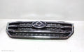 LDV V80 GRILLE, RADIATOR GRILLE, 09/2018 - 12/2023 - Image 1