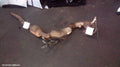 VOLKSWAGEN EOS CATALYTIC CONVERTER, UNDER CAR-CAT TYPE, 2.0, PETROL, BWA CODE, 1F, 02/2007 - 07/2008 - Image 1