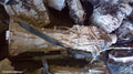 MITSUBISHI PAJERO TRANS/GEARBOX, AUTO, DIESEL, 3.2, 4M41, W/ TRANSFER CASE, NT-NX, 09/2008 ONWARDS - Image 1