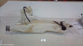 HOLDEN COLORADO WASHER BOTTLE, RG/RG 7, 01/2012 ONWARDS - Image 1
