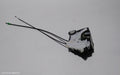 TOYOTA YARIS DOOR/BOOT/GATE LOCK, RIGHT FRONT DOOR LOCK, NCP13#, 07/2014 - 12/2019 - Image 1