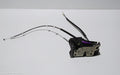 HOLDEN COMMODORE DOOR/BOOT/GATE LOCK, RIGHT FRONT DOOR LOCK, ZB, 10/2017 - 12/2020 - Image 1