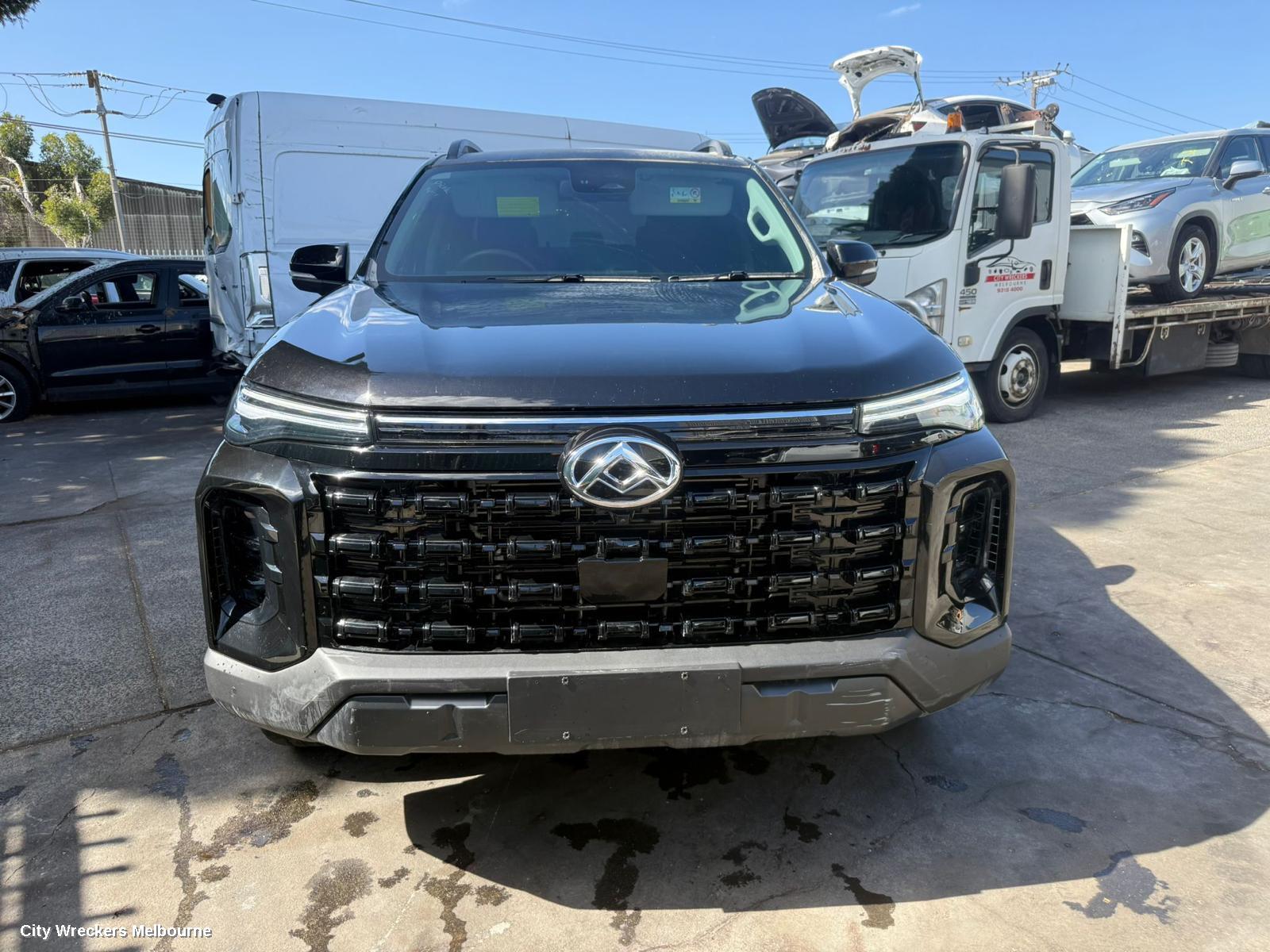 LDV T60 LEFT REAR DOOR/SLIDING, SK8C, 07/2017 ONWARDS - Image 3