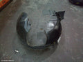AUDI A6 RIGHT GUARD LINER, C6/4F, A6, 10/2008 - 06/2011 - Image 1