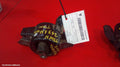 HYUNDAI VELOSTER MOUNT, FS, 10/2011 - 08/2019 - Image 1