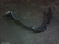 TOYOTA TARAGO LEFT GUARD LINER, ACR30 06/2000 - 05/2003 - Image 1