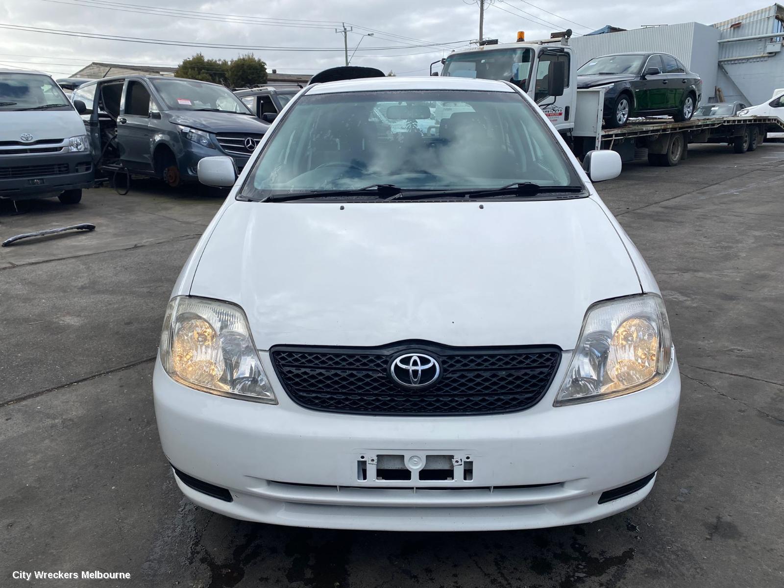 TOYOTA COROLLA BOOTLID/TAILGATE, TAILGATE, ZZE122 (JAPAN-VIN JTD), HATCH, NON SPOILER TYPE, 12/2001 - 06/2007 - Image 1