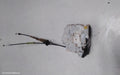 MAZDA 3 DOOR/BOOT/GATE LOCK, BP, LEFT FRONT DOOR LOCK, SEDAN/HATCH, 03/2019 ONWARDS - Image 1