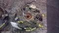 TOYOTA 86 RIGHT REAR HUB ASSEMBLY, ZN6, GT, 286MM DIA SOLID DISC, 04/2012 ONWARDS - Image 1