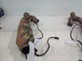 BMW 5 SERIES CATALYTIC CONVERTER, MANIFOLD-CAT TYPE, 4.0/4.8, N62N, PETROL, LH SIDE, E60, 09/2005 - 04/2010 - Image 1