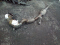 VOLKSWAGEN POLO CATALYTIC CONVERTER, DOWNPIPE-CAT TYPE, 1.2, PETROL, CJZC/CJZD CODE, 6R, 05/2014 - 09/2017 - Image 1