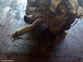 HYUNDAI KONA CATALYTIC CONVERTER, DOWNPIPE-CAT TYPE 1.6, PETROL, G4FJ, OS, 09/2017 - 10/2020 - Image 1