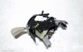 NISSAN ELGRAND GEAR STICK/SHIFTER, E51 05/2002 - 12/2010 - Image 1